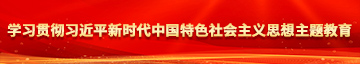 骚逼被操网站学习贯彻习近平新时代中国特色社会主义思想主题教育